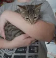 Salamito