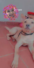 Mel