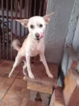 Vitória