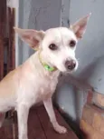 Vitória