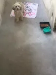 Não sabemos 