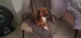 Tadeu