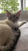 Kiara 
