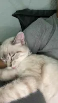 Kiara 