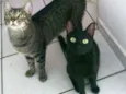 Arlindo & Pandora