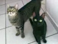 Arlindo & Pandora