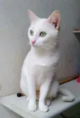 Nancy