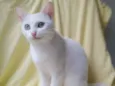 Nancy