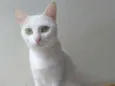 Nancy