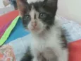 Pietra