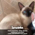 Terezinha