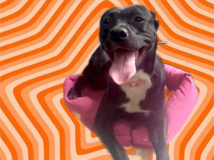 Alina Linda bb9meses