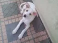 Spaki