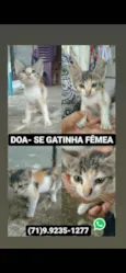 Não tem nome