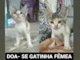 Não tem nome