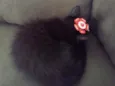Miethie