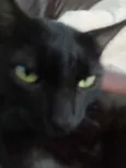 Minnie