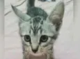 Linda