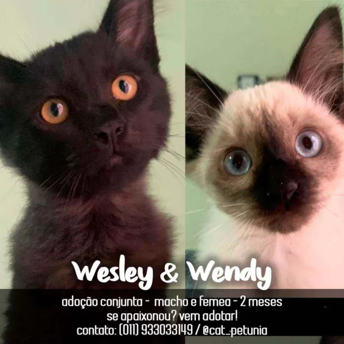 Wesley & Wendy