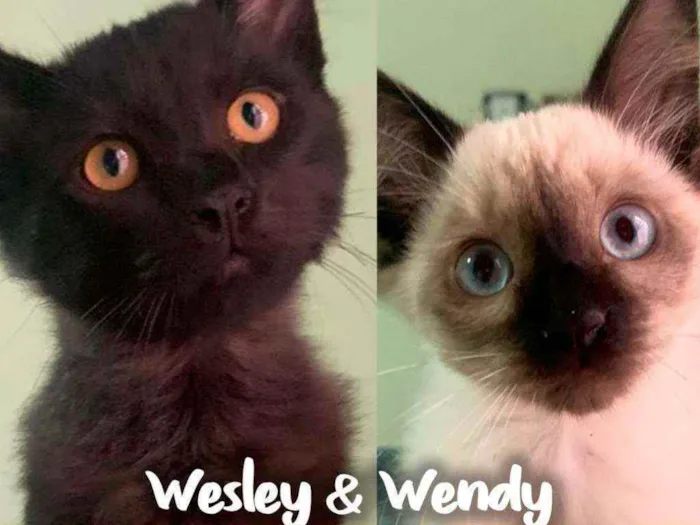 Wesley & Wendy