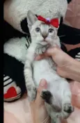 Linda