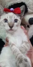 Linda