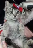 Melzinha.