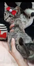Melzinha.