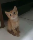 ........