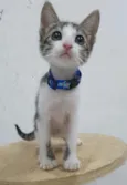 ........