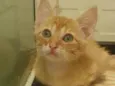 ............