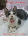 ...............