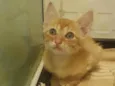 ............