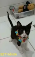 BETHÂNIA