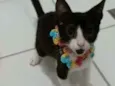 BETHÂNIA