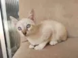 bob