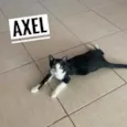 Axel