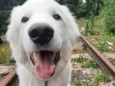 Kenai