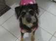 Julie 