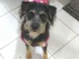 Julie 