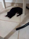 Teo