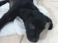 Teo