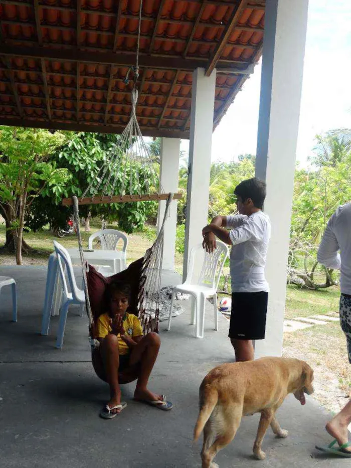 Cachorro ra a Labrador idade 6 ou mais anos nome Layca