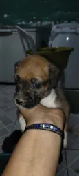 Não tem nome ainda
