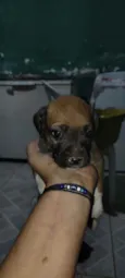 Não tem nome ainda