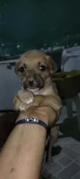 Não tem nome ainda