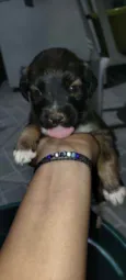 Não tem nome ainda