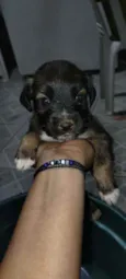 Não tem nome ainda