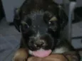 Não tem nome ainda