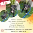 Liz